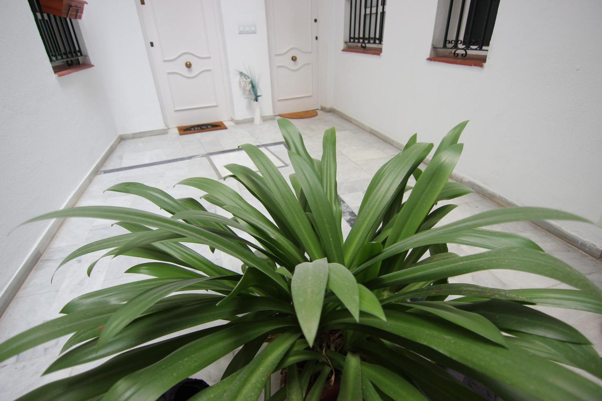 Apartamento Corazon De Triana Seville Luaran gambar